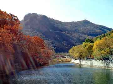 澳门天天开奖免费资料，龙神天尊